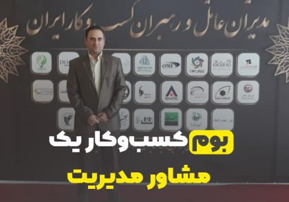 بوم کسب و کار یک مشاور مدیریت